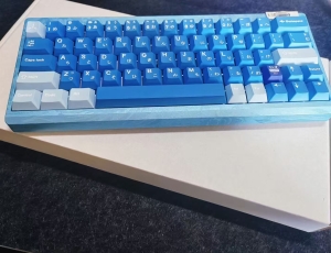 ZOOM64最屌的毛
